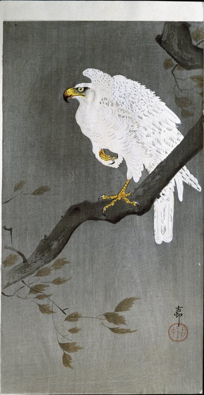 Falke auf einem Ast, 1907 von Ohara Koson